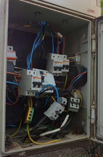 blåbär_47.jpg blåbär_47.jpg