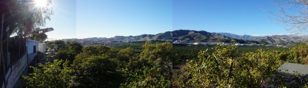 blåbär_46.jpg blåbär_46.jpg