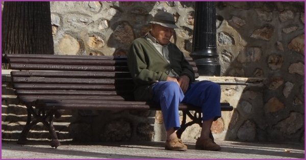 blåbär_49.jpg blåbär_49.jpg