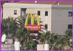 blåbär_50.jpg blåbär_50.jpg