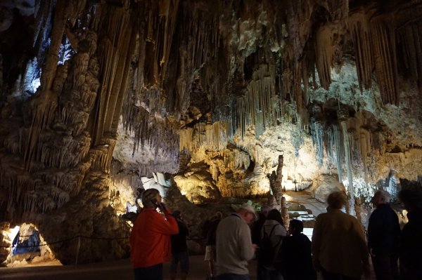 blåbär_51.jpg blåbär_51.jpg