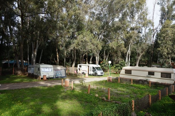 blåbär_54.jpg blåbär_54.jpg