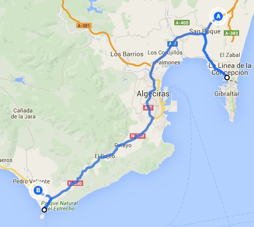 blåbär_56.jpg blåbär_56.jpg