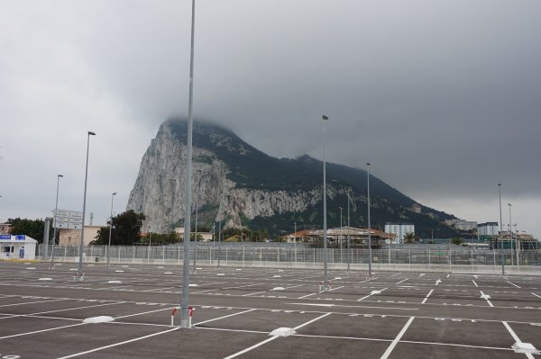 blåbär_58.jpg blåbär_58.jpg