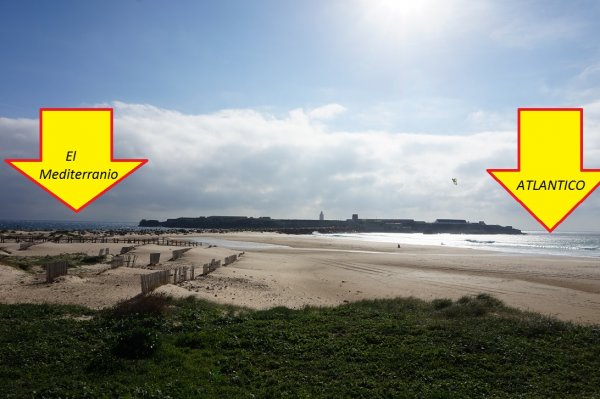 Blåbär_59.jpg Blåbär_59.jpg