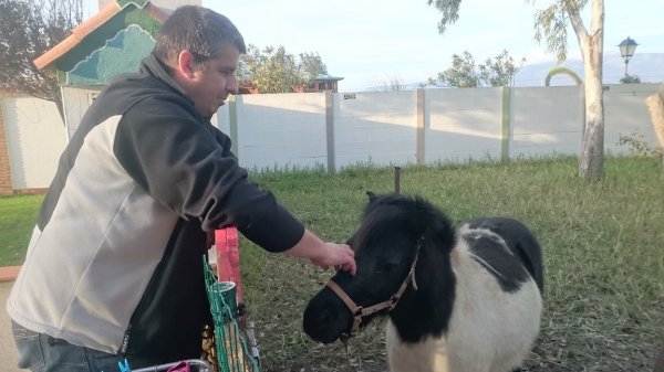 blåbär_61.jpg blåbär_61.jpg