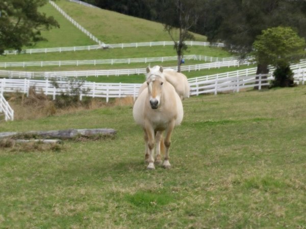 IMG_20150911_135105.jpg IMG_20150911_135105.jpg