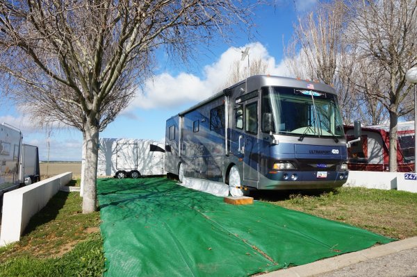 blåbär_66.jpg blåbär_66.jpg