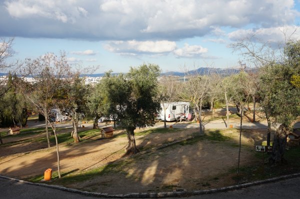 blåbär_70.jpg blåbär_70.jpg