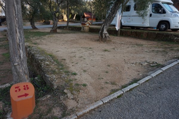 blåbär_71.jpg blåbär_71.jpg