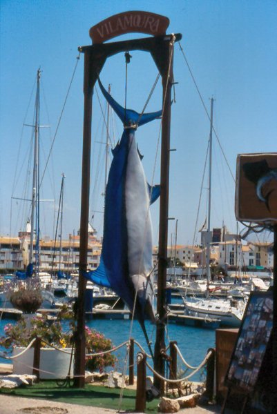 vilamoura.jpg