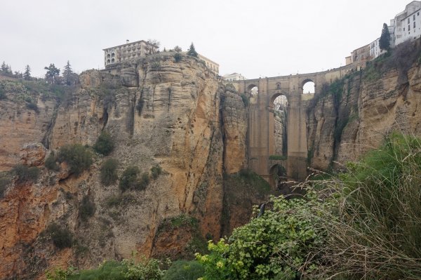 blåbär_72.jpg blåbär_72.jpg