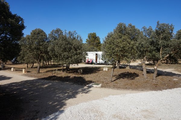 blåbär_74.jpg blåbär_74.jpg