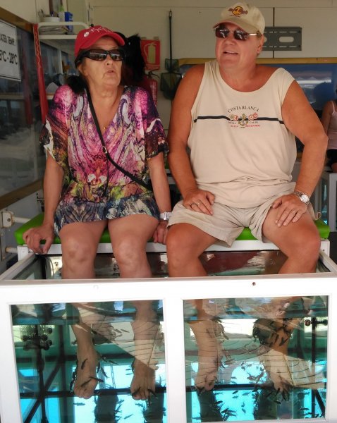 2016-01-22 13.29.34.jpg 2016-01-22 13.29.34.jpg