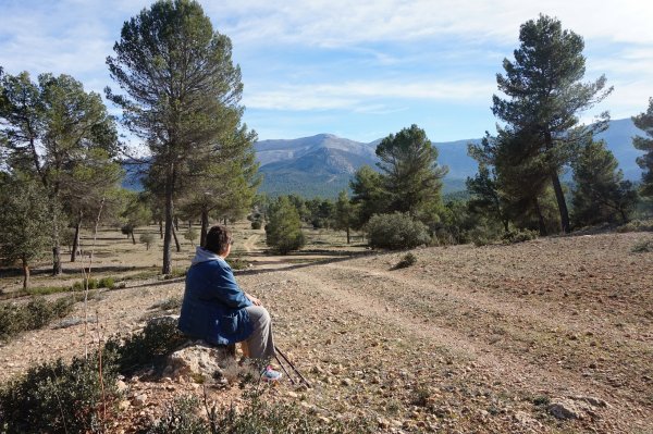 blåbär_76.jpg blåbär_76.jpg