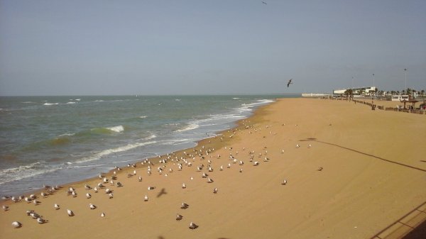 Högvatten 160207.jpg