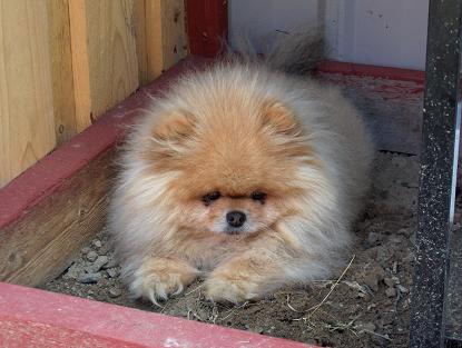 båthuset 008.jpg båthuset 008.jpg