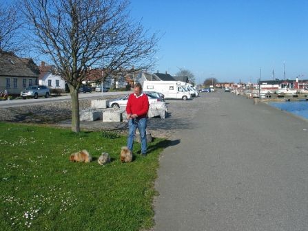 skillinge.jpg skillinge.jpg