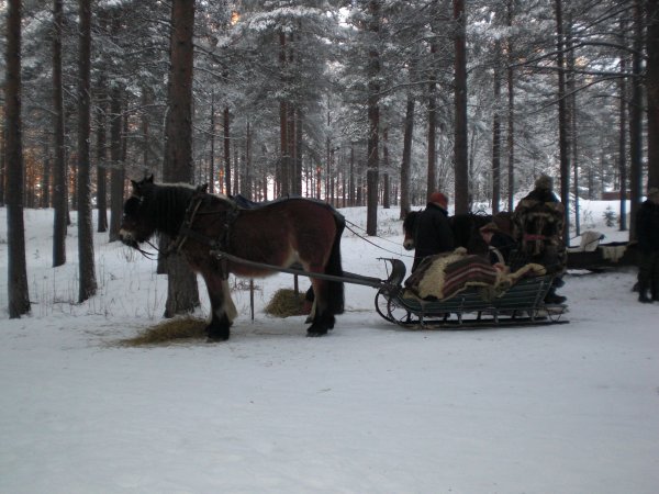 Jokkmokk feb 2009 015.JPG