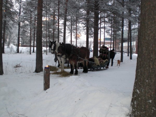 Jokkmokk feb 2009 018.JPG