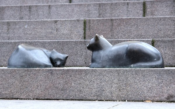 På spåret23.jpg På spåret23.jpg