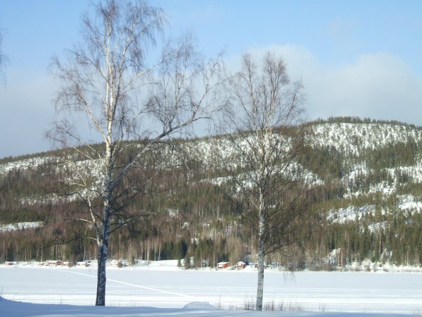 24 feb 2009 008.JPG