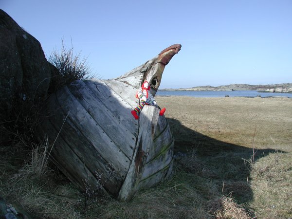 P3151286.JPG P3151286.JPG