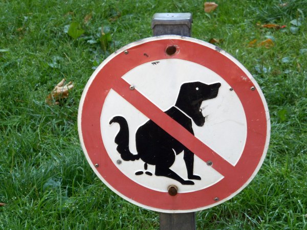 Bild 270.jpg Bild 270.jpg