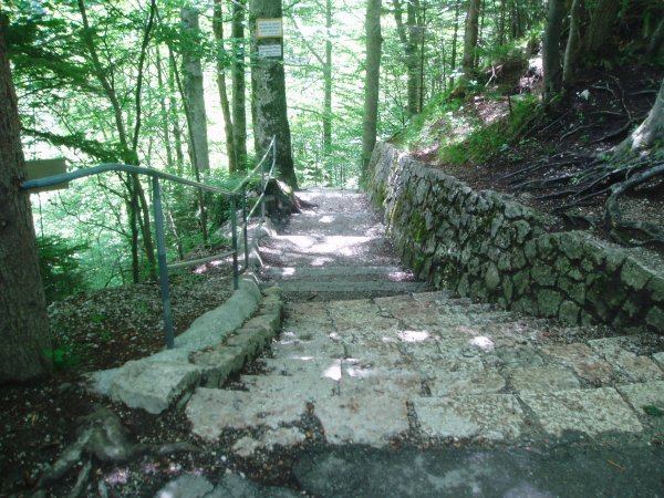 semester tyskland-midsommar 055.jpg