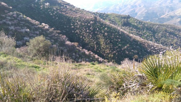 DSC_0849.JPG DSC_0849.JPG