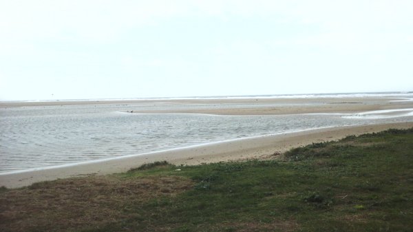 Havet skummar 160214.jpg