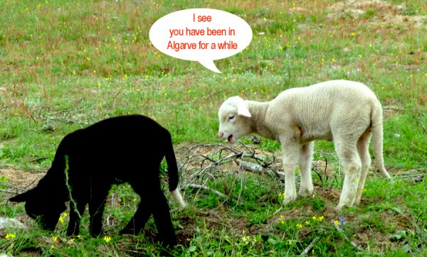 hot-area.jpg hot-area.jpg