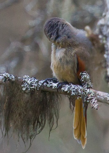 Gåta 24, facit extra.jpg