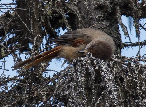 Gåta 24, facit a.jpg