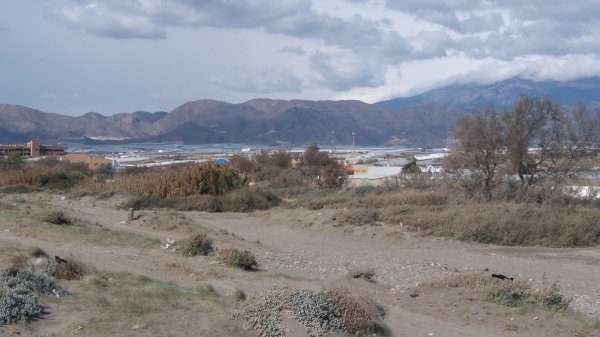 DSC_0950.JPG DSC_0950.JPG