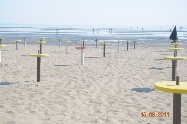 semester 2011 064.JPG