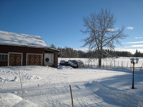 IMG_0194 - Kopia.JPG