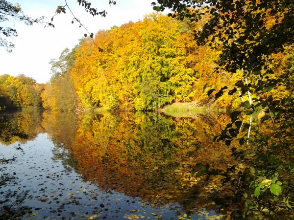 2012-10-20 12.40.24.jpg