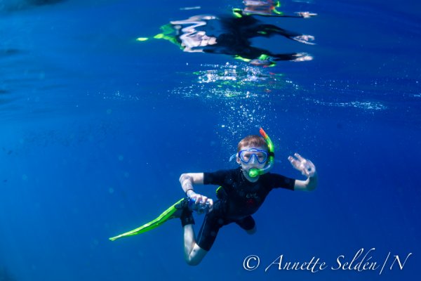 _UVF2310.jpg _UVF2310.jpg