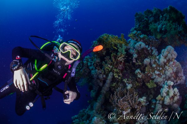 _UVF2406.jpg _UVF2406.jpg