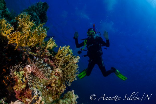 _UVF2432.jpg _UVF2432.jpg