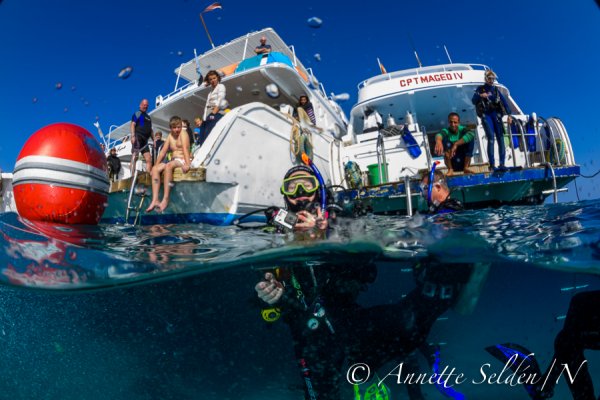 _UVF2450.jpg _UVF2450.jpg