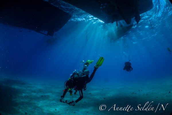 _UVF2464.jpg _UVF2464.jpg