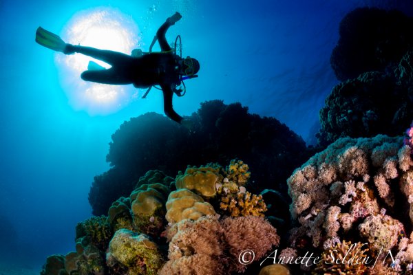 _UVF2665.jpg _UVF2665.jpg