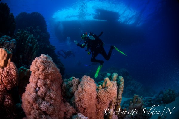 _UVF2675.jpg _UVF2675.jpg