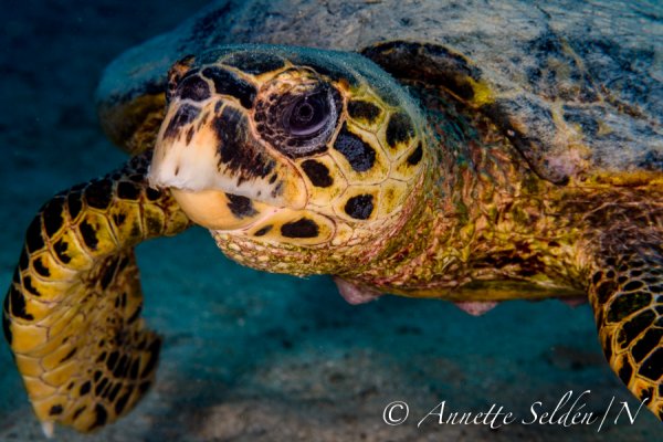 _UVF2716.jpg _UVF2716.jpg