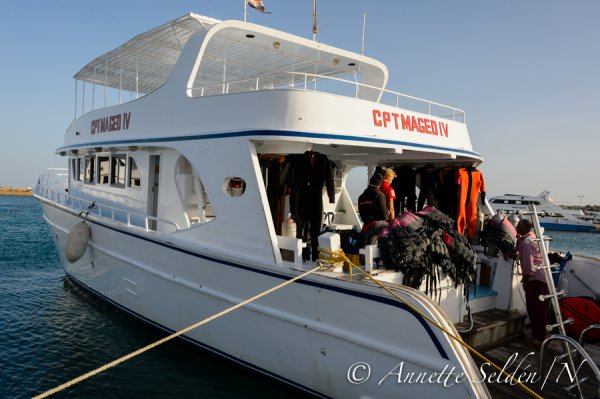 160110.225.jpg 160110.225.jpg