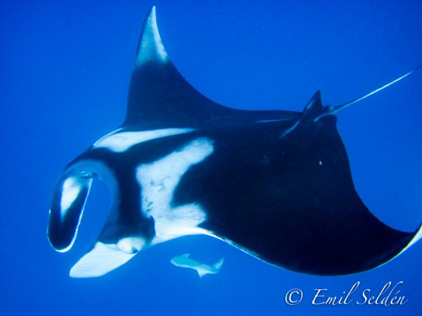 IMG_2092.jpg IMG_2092.jpg