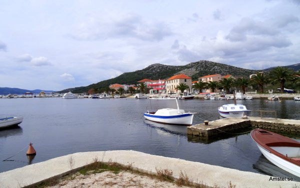 SegetFranjica.JPG SegetFranjica.JPG