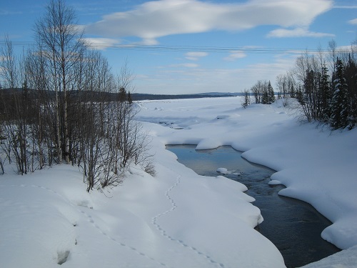 IMG_0215.JPG IMG_0215.JPG